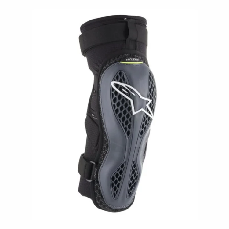 epigonatides alpinestars sequence normal 1
