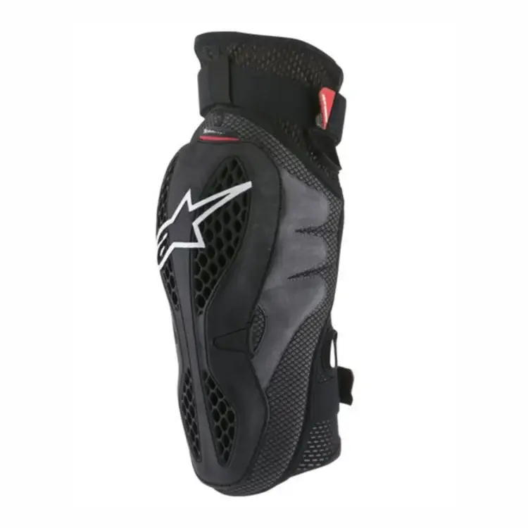 epigonatides alpinestars sequence normal 1