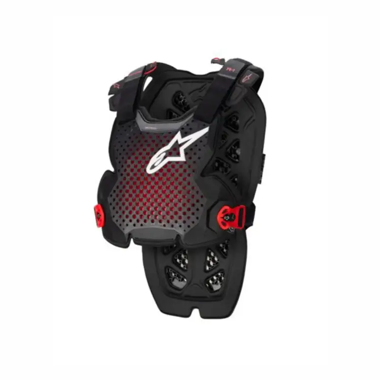 prostateftikos thorakas alpinestars a 1 pro normal 1